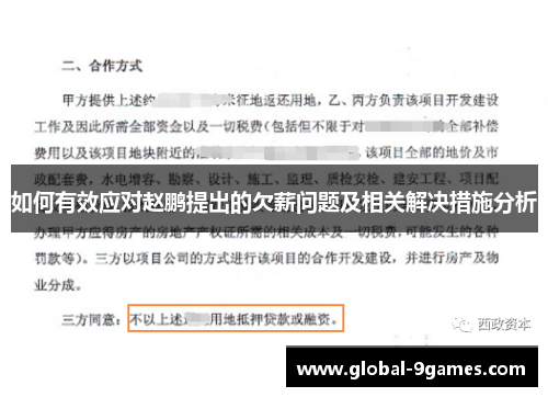 如何有效应对赵鹏提出的欠薪问题及相关解决措施分析