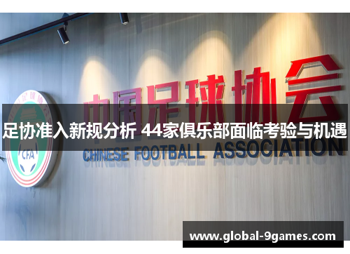 足协准入新规分析 44家俱乐部面临考验与机遇