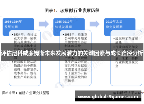 评估尼科威廉姆斯未来发展潜力的关键因素与成长路径分析 评估尼科威廉姆斯未来发展潜力的关键因素与成长路径分析